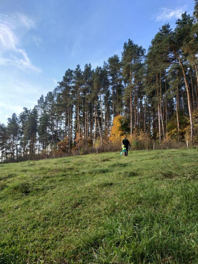 Domki Nad Jeziorem - Zalesie 7D Zalesie (Olsztyn) Dış mekan fotoğraf