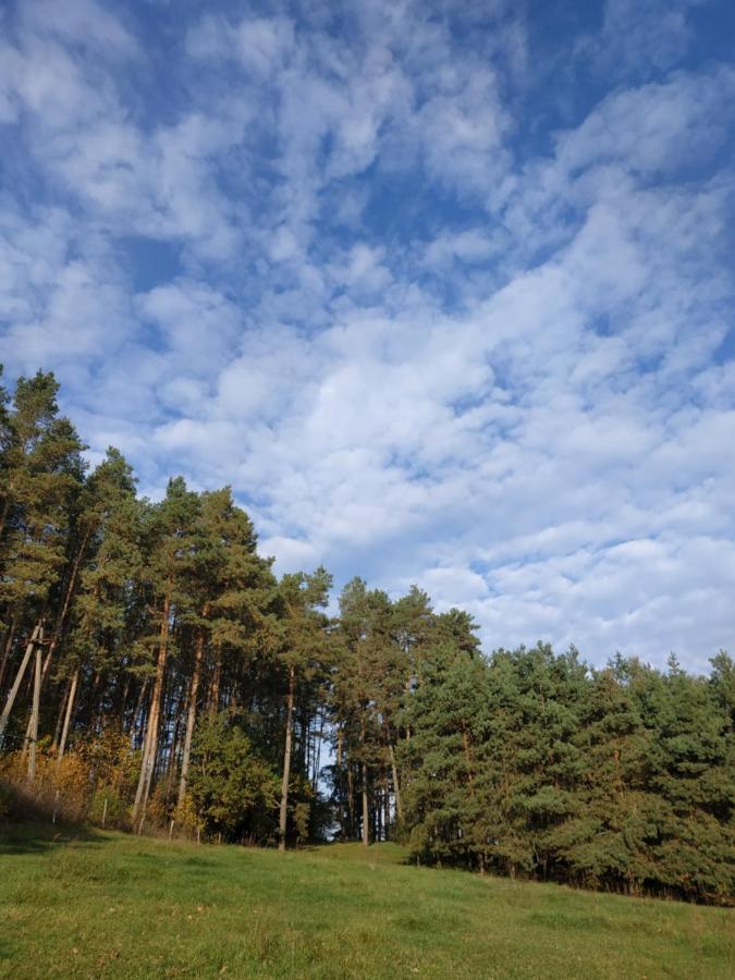 Domki Nad Jeziorem - Zalesie 7D Zalesie (Olsztyn) Dış mekan fotoğraf