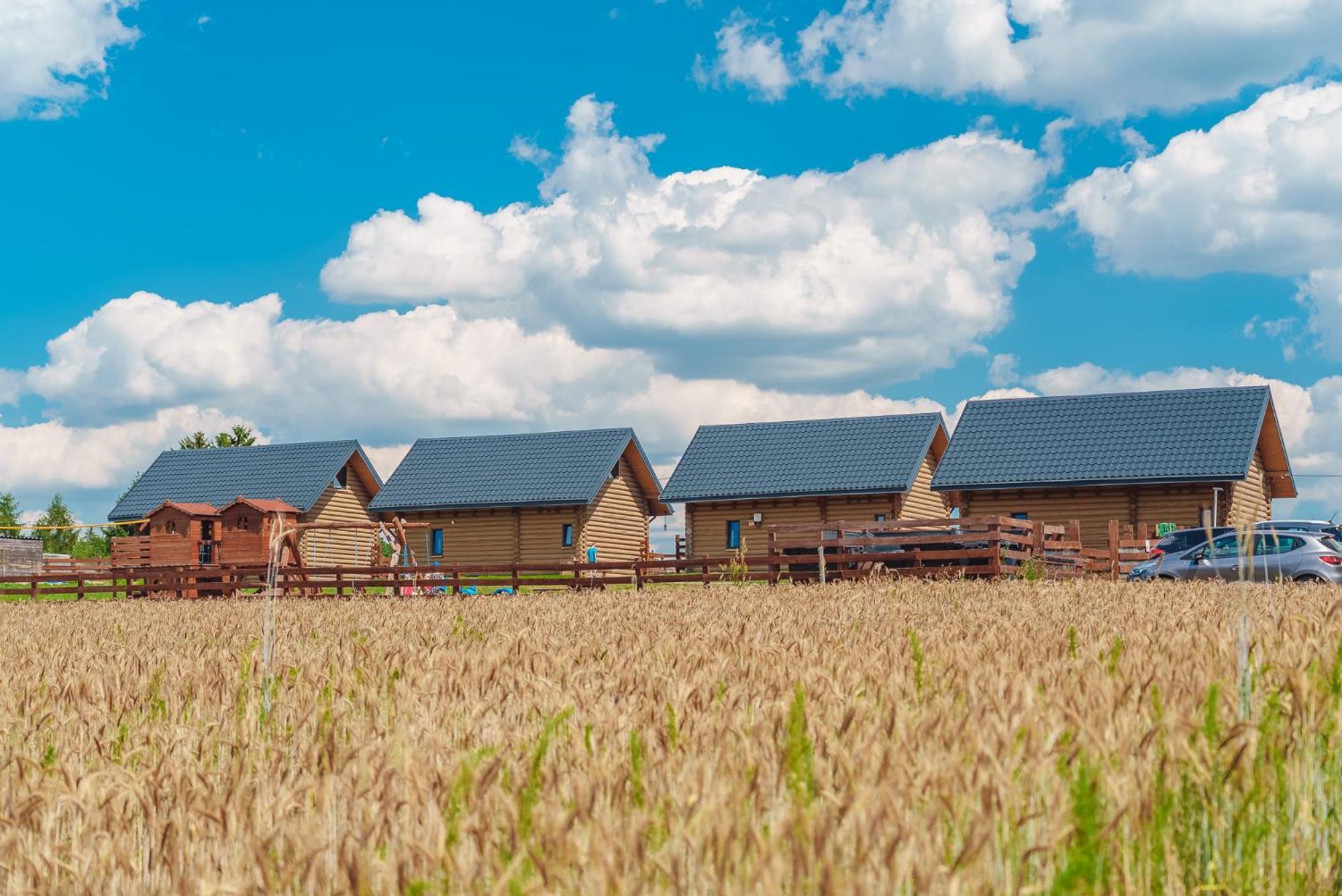 Domki Nad Jeziorem - Zalesie 7D Zalesie (Olsztyn) Dış mekan fotoğraf
